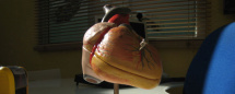Diagnostica Cardiologica