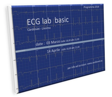 ECG lab basic