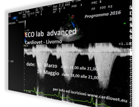 ECO lab advanced
