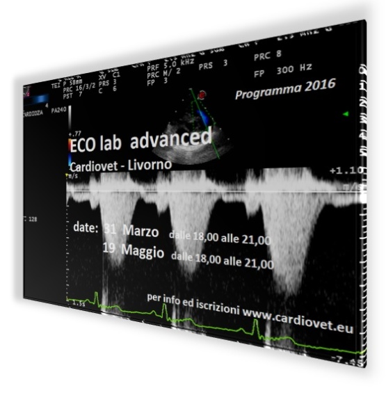 ECO lab advanced