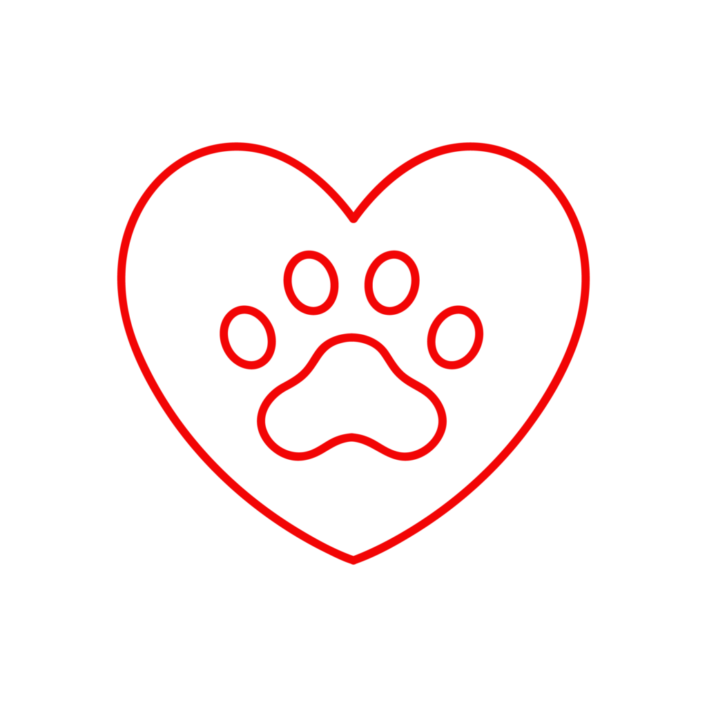 Icona illustrativa del servizio di cardiologia della Clinica Veterinaria Cardiovet
