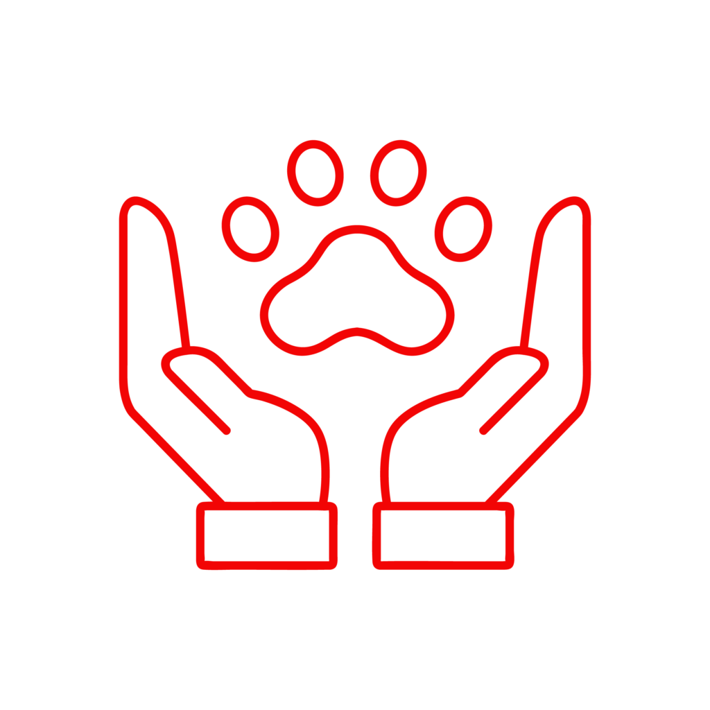 Icona illustrativa del servizio di medicina preventiva della Clinica Veterinaria Cardiovet