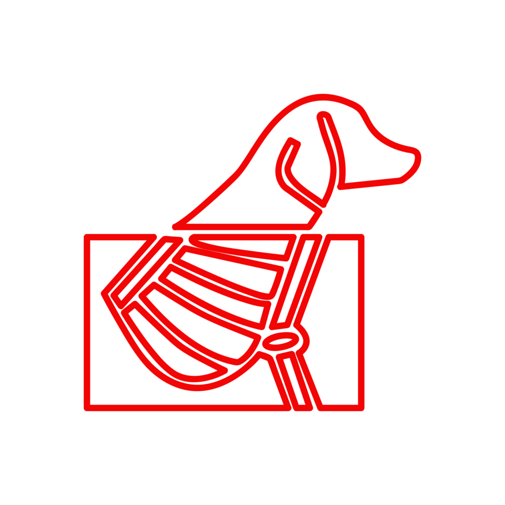 Icona illustrativa del servizio di radiologia della Clinica Veterinaria Cardiovet