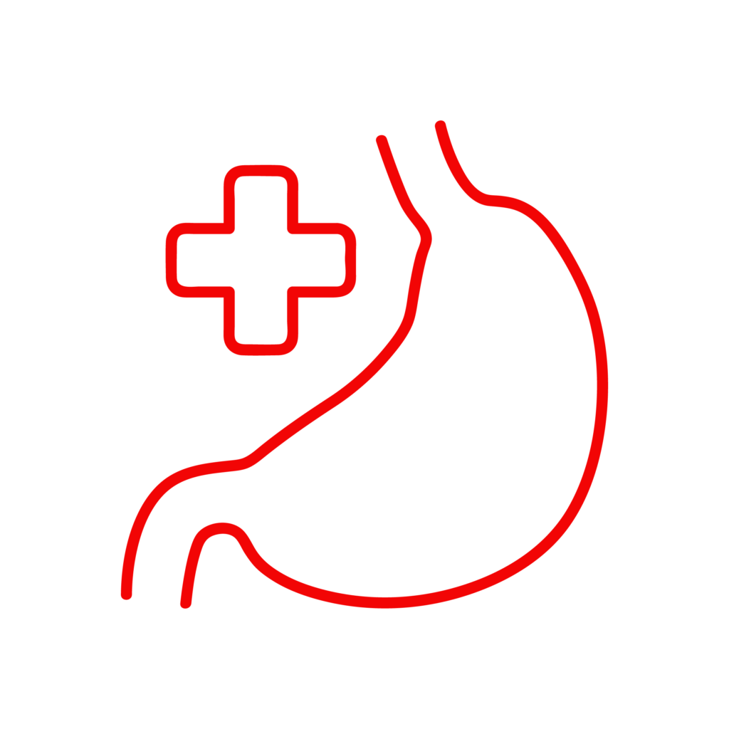 Icona illustrativa del servizio di gastroenterologia della Clinica Veterinaria Cardiovet