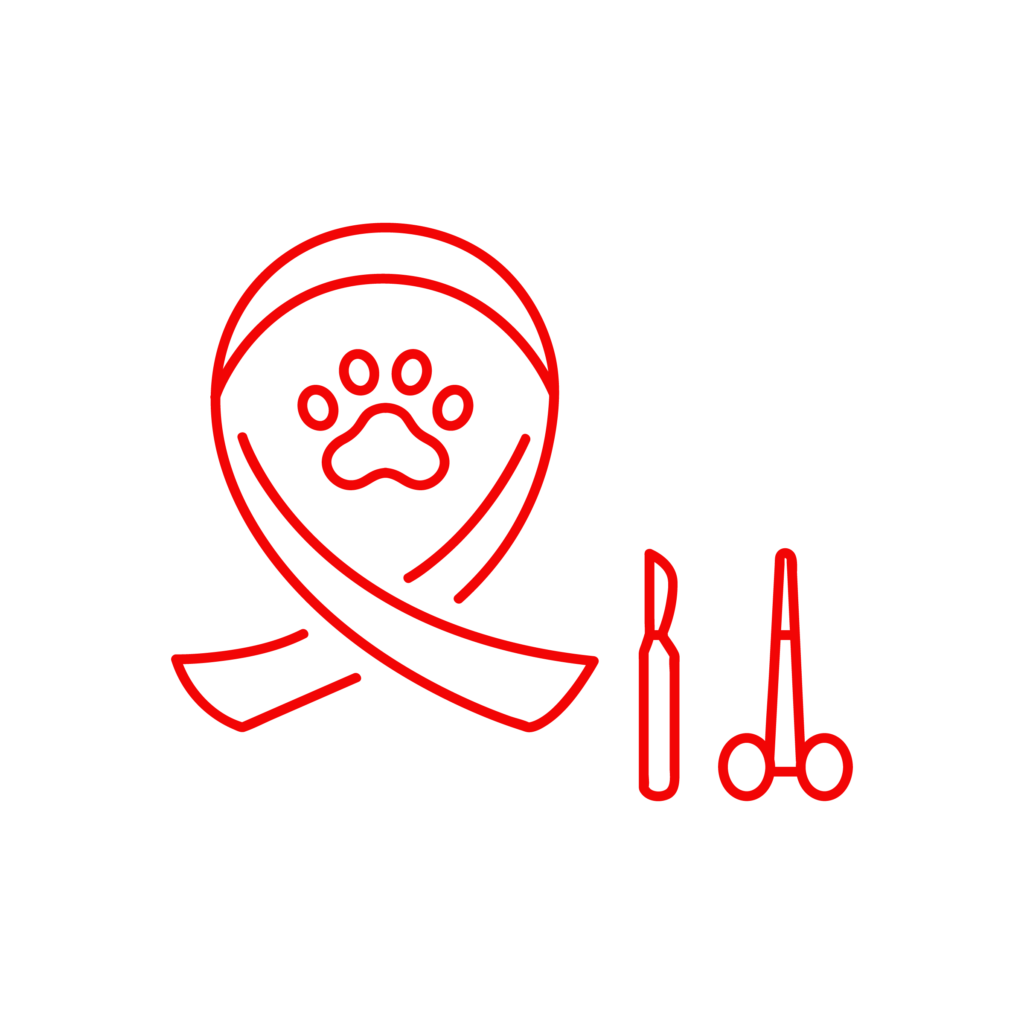 Icona illustrativa del servizio di chirurgia oncologica della Clinica Veterinaria Cardiovet