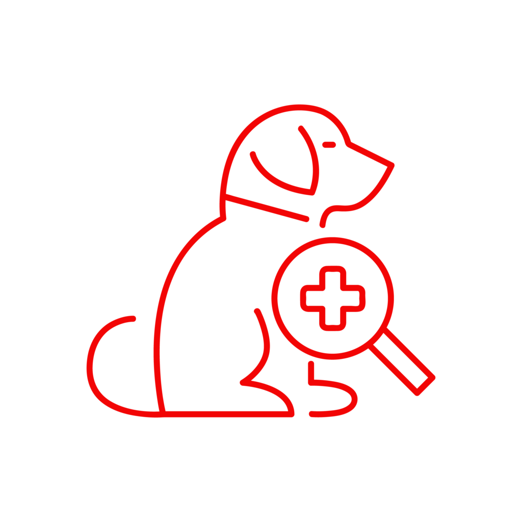 Icona illustrativa del servizio di dermatologia della Clinica Veterinaria Cardiovet