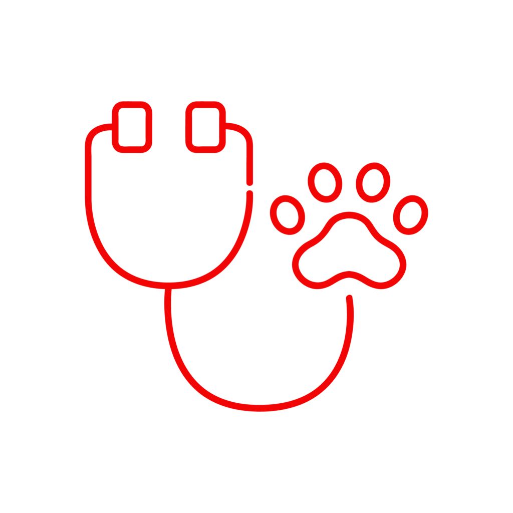Icona illustrativa del servizio di ecocardiografia della Clinica Veterinaria Cardiovet
