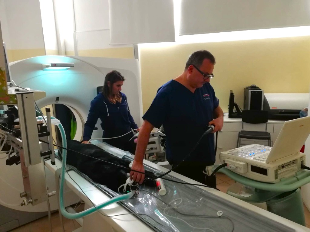 Il dott. Alessandra Zani durante l'esecuzione di una tac veterinaria presso la clonica veterinaria Carciovet