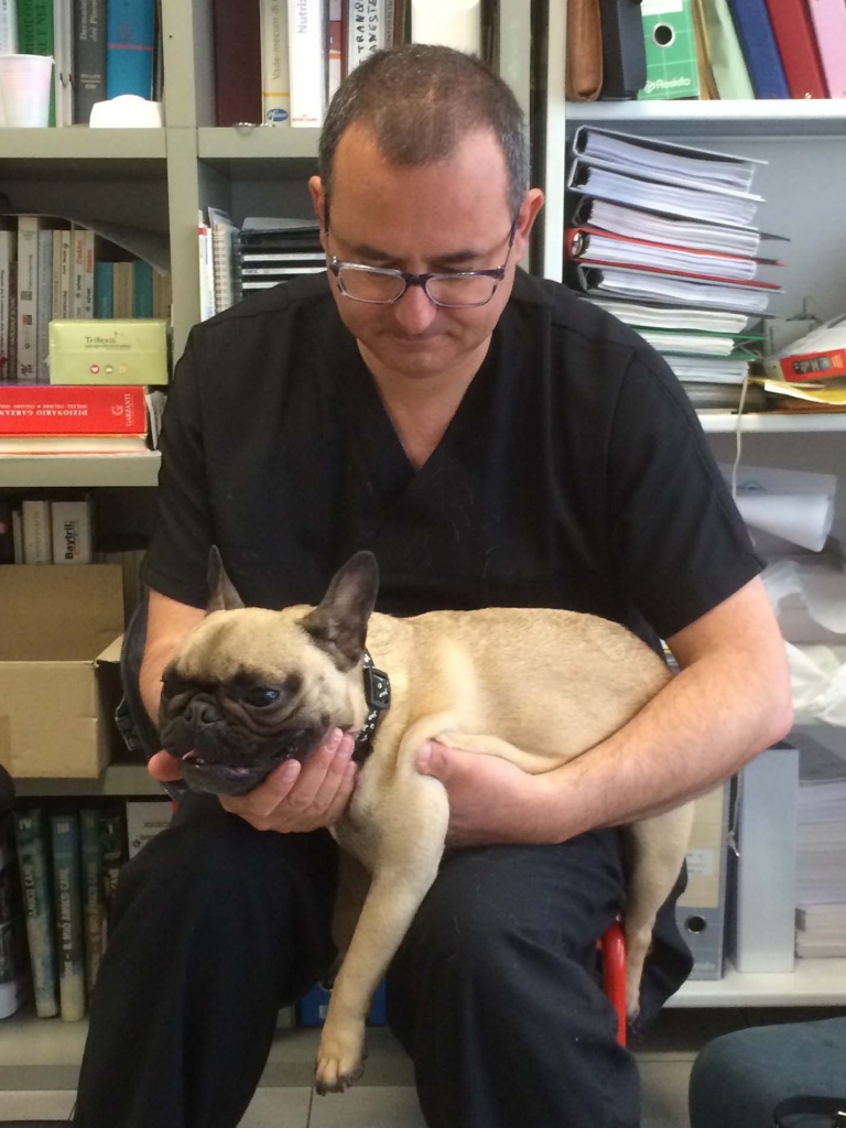 cardiologia-veterinaria-clinica cardiovet-livorno Il Dottor Alessandro Zani tiene in braccio un bulldog francesca nocciola