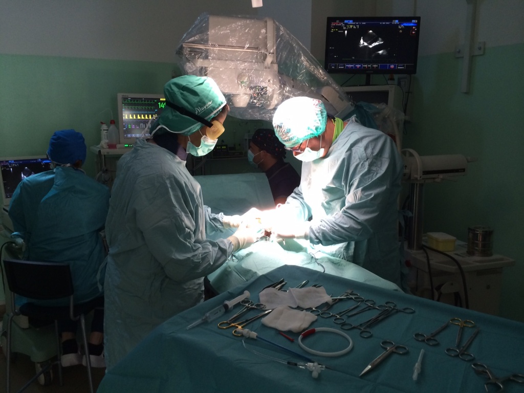 due medici della clinica veterinaria cardiovet durante un intervento chirurgico in clinica