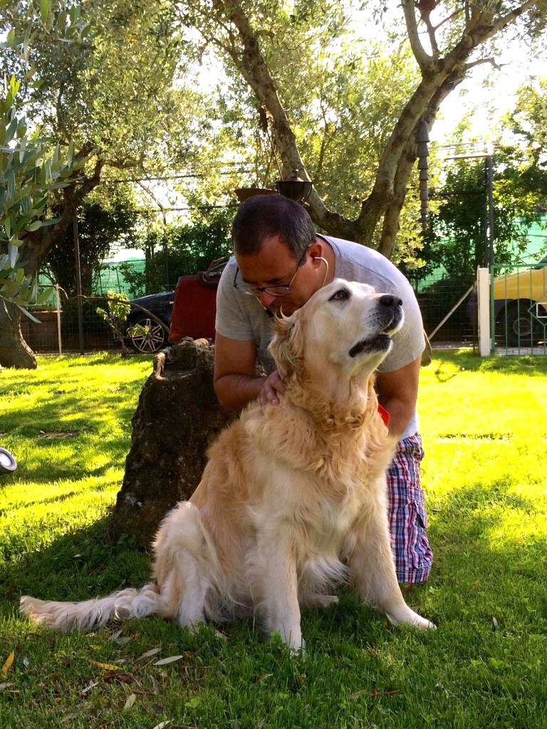 Un medico veterinario della clinica veterinaria cardiovet durante una visita all'apero di un golden retriever