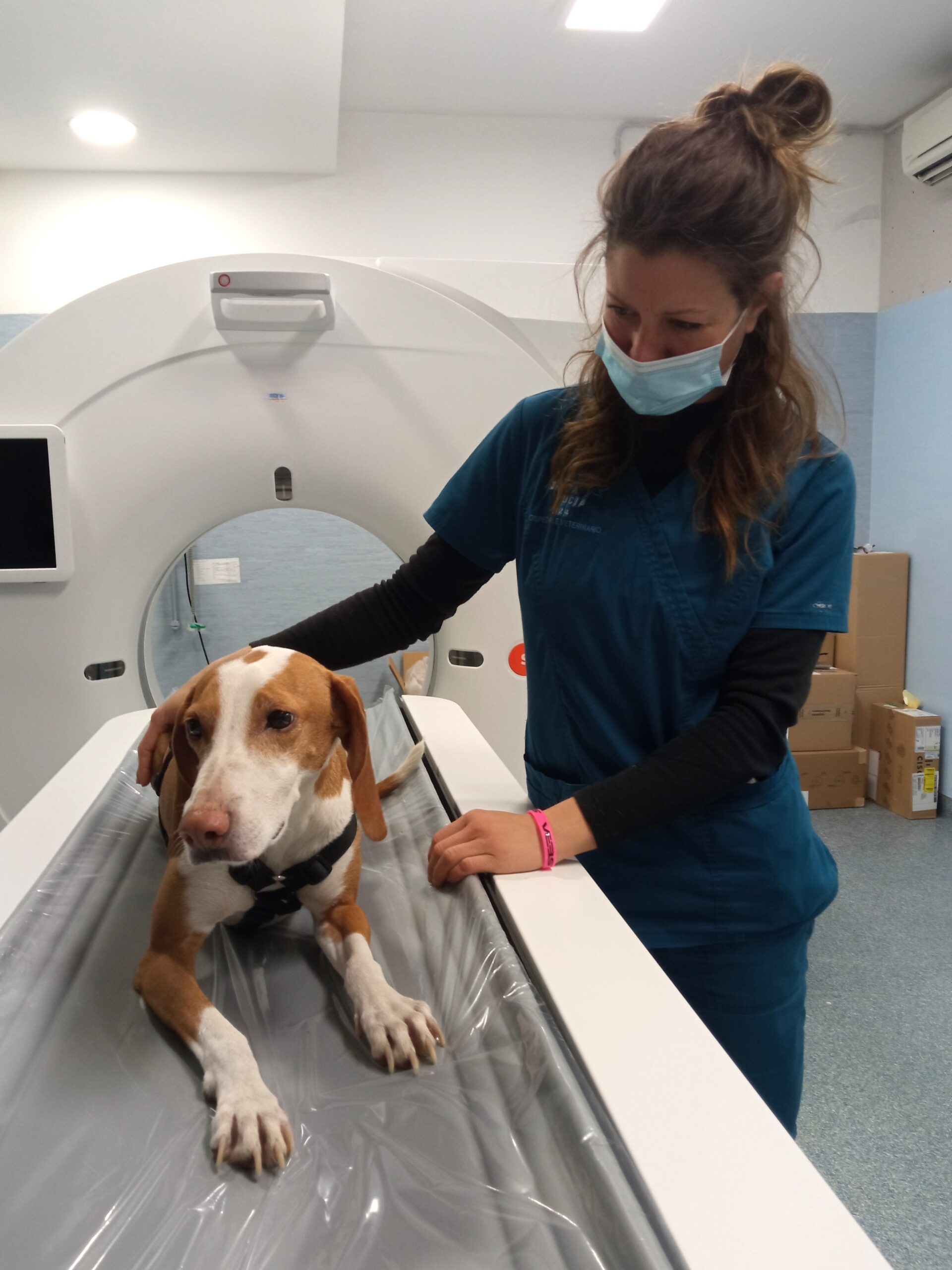 tac-veterinaria-clinica-veterinaria-cardiovet-livorno Una dottoressa della clinica veterinaria cardiovet con un cane prima di una visita diagnostica tramite TAC